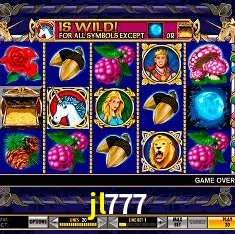 jl777 Rio de Janeiro - Bonus Terms